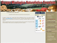 Tablet Screenshot of empolimicologica.it
